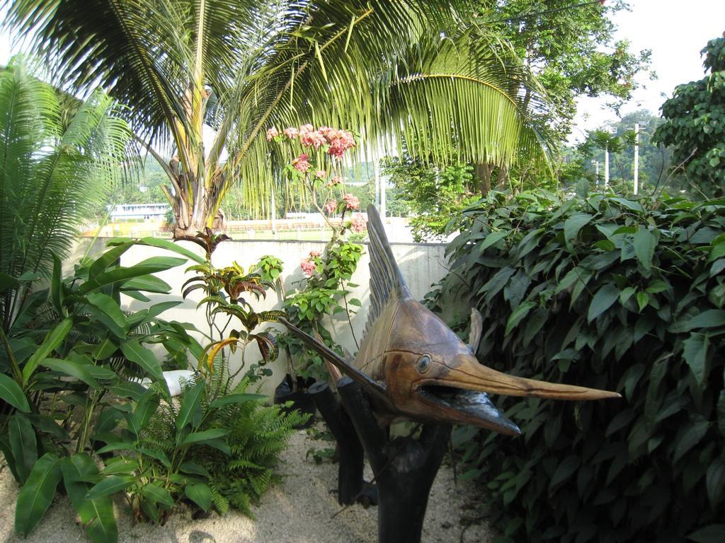 Travellers Budget Motel Port Vila Exteriör bild